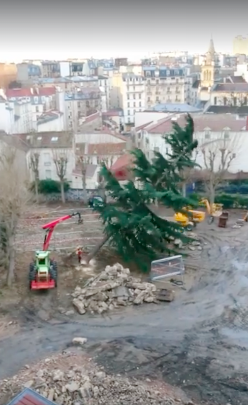 Un cèdre de l'Himalaya et des dizaines d'arbres ont été abattus le 16 février 2019 pour un projet immobilier contre lequel SOS Paris et plusieurs associations se sont battus.